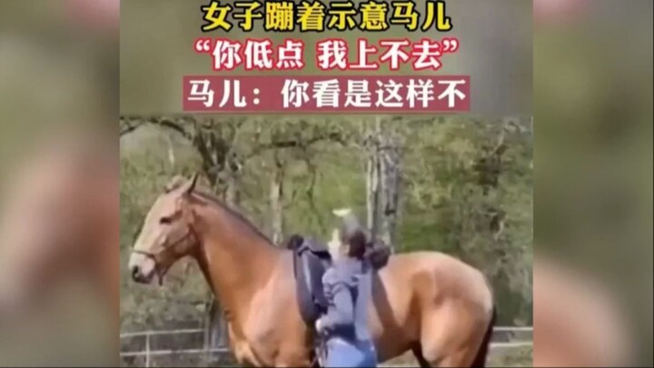 A woman bounces, but the horse is too low for me to climb on. Horse: “Is this how it’s supposed to b