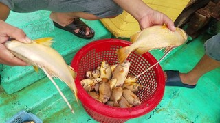 GHE LÊN • Bữa ''Cơm Chiều'' Món Ngon từ Cá Tươi | Ngư Dân Miền Tây