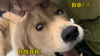 我拿你当妈！你拿我当笑话！太过分了！