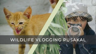 WILDLIFE VLOGGING NG MGA PUSAKAL!