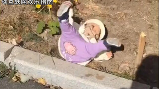 The happiness of human cubs is so simple