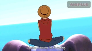 pirate king's crew  onepiece ASMV/AMV
