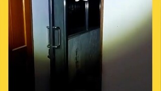 台湾晚安小鸡探险