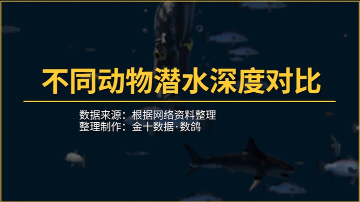Comparison of Diving Depths Among Different Animals