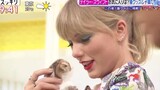 Taylor Swift yang heboh melihat kucing dalam program acara Jepang