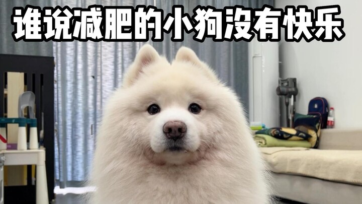 Who says little dogs on a diet can't be happy!