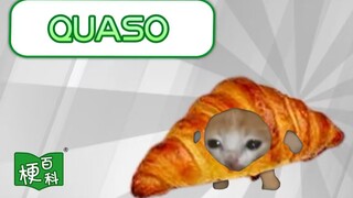 【梗百科】Quaso是啥梗？可可爱爱可颂猫怎么火了？