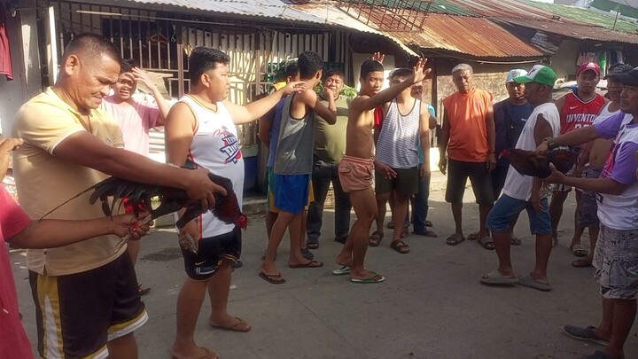 pulang sunog vs mayahin