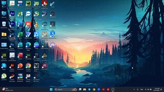 IDM(internet download manager)