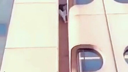 Trông rất thoải mái.