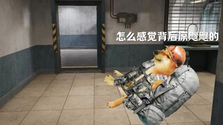 护航看主页