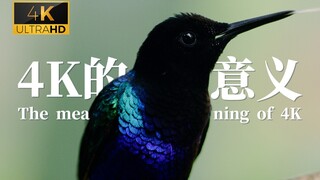[Film and TV Hurricane] 4K Demo - The image quality of Bilibili has been improved!