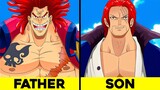 52 Secrets You DIDN'T Know About One Piece!