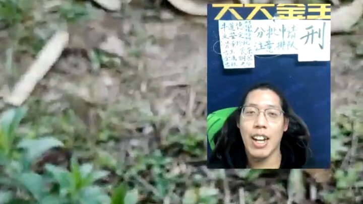 [Wow! On-Site Treasure Appraisal!]