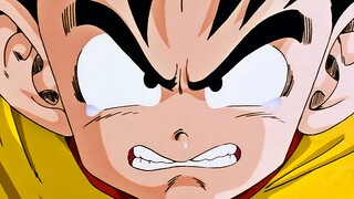 You said you can't mess with anyone, but you want to mess with Gohan's father?