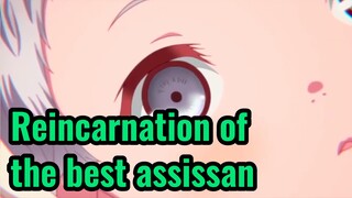 Reincarnation of the best assissan