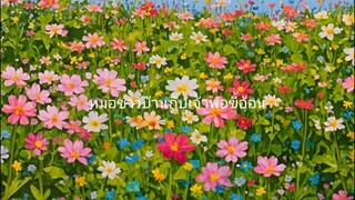 ขี้อ้อน