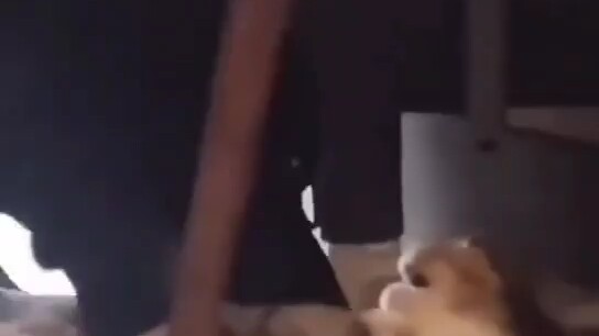 Cat: It… it’ll break!