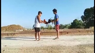 1st spar ng pure white kelso