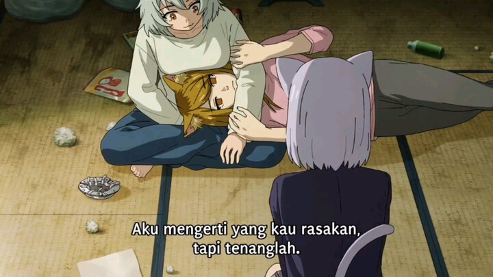 Kucing Ngudud