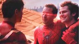 The Holland brothers are expecting, the three generations of Spider-Man gather in the Marvel Multive