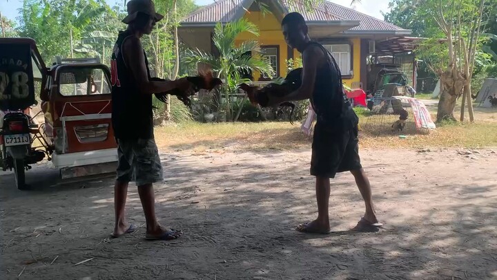 10months sparing🤙