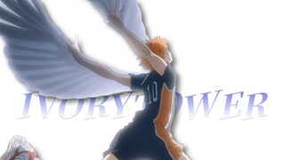 “ Fight for us ! "  【排球少年/IVORY TOWER】