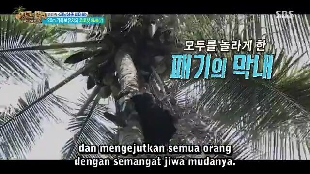 Law.of.Jungle.in.Manado.E255.360p