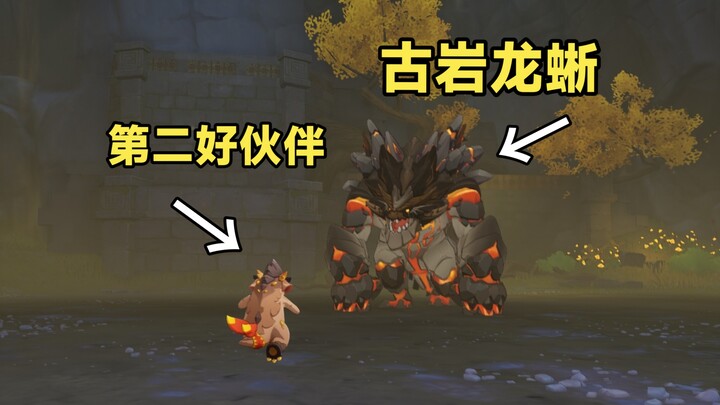 จะเกิดอะไรขึ้นเมื่อคุณพาเพื่อนมังกรของคุณไปท้าทาย Ancient Rock Lizard?