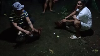 spar muna