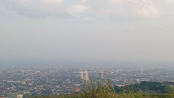 view