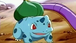 [Pokémon]Cuộc sống hàng ngày của Squirtle và Bulbasaur