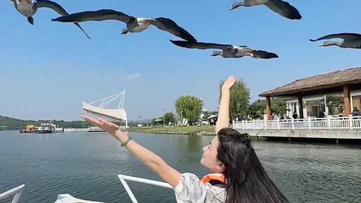 Dayan: Báo cáo ai đó gian lận