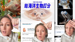 Let's Rate Marine Creatures