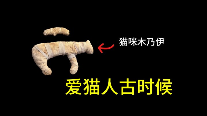 9.500 năm trước, người và mèo được chôn cùng nhau – phải chăng đây là những người yêu mèo đầu tiên?