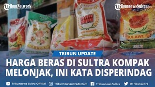 Disperindag: Lonjakan Harga Beras di Sultra Akibat Gagal Panen dan Permintaan Tinggi Jelang Ramadhan