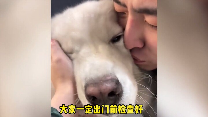 Tình yêu của cún lúc nào cũng chân thành và nồng nhiệt! Cún chẳng quan tâm bạn thành công hay thất b