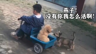 《家无三坨翔，怎敢误娇娘》