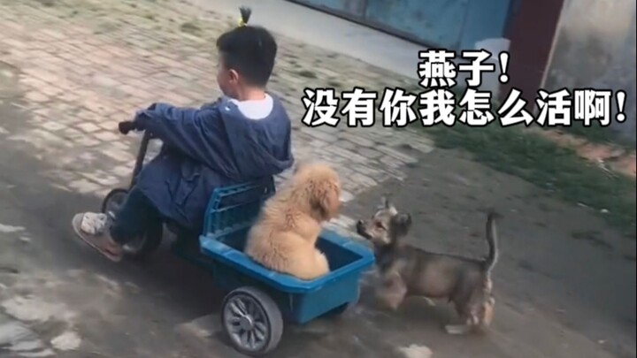 "Làm sao bạn có thể lừa dối con gái mình khi trong nhà không có ba thùng phân"