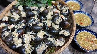 ỐC BƯƠU hấp cơm mẻ - Bin Đen Miền Tây # 232