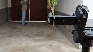 【花大姐弹弓】最新视频来袭，快来看看吧！
