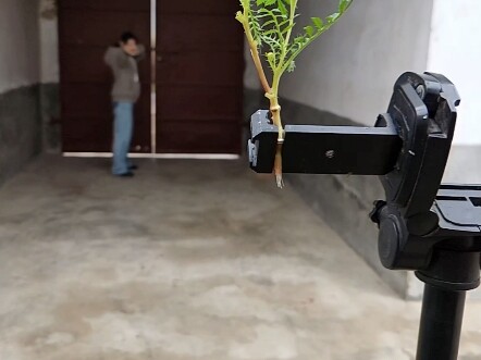 【花大姐弹弓】最新视频来袭，快来看看吧！