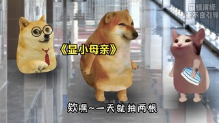 当你被叫家长，来的是你很显小的妈妈！