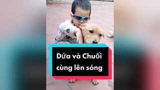 Dứa và Chuối đáng yêu ko cả nhà.  cunyeucuadua chó chócon chókhôn chócute