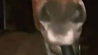 就说了它一下，就这样了