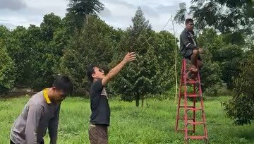 ระดับเซียน