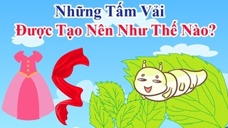 Những tấm vải được tạo ra như thế nào ? | Chiếc váy mới của Bơ | PingTV