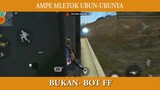 AMPE MLETOK UBUN-UBUNYA