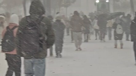 From Beijing to Heilongjiang, Yunli claimed it was on his way, but a blizzard in Harbin turned Princ
