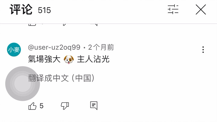 YouTube and overseas netizens are buzzing about Chinese short videos, with many in the “people lean 